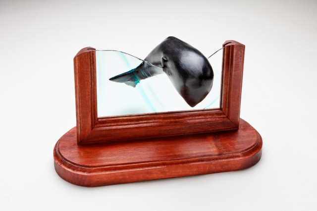 whale on glass wood base Large Web view.jpg